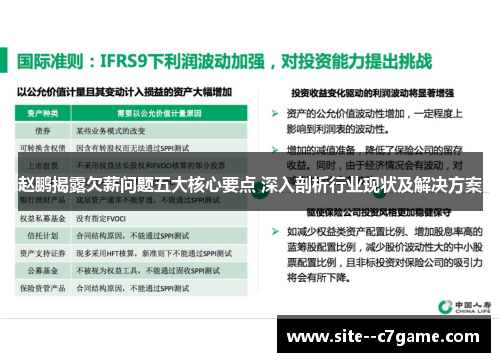 赵鹏揭露欠薪问题五大核心要点 深入剖析行业现状及解决方案
