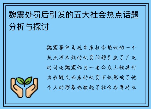 魏震处罚后引发的五大社会热点话题分析与探讨